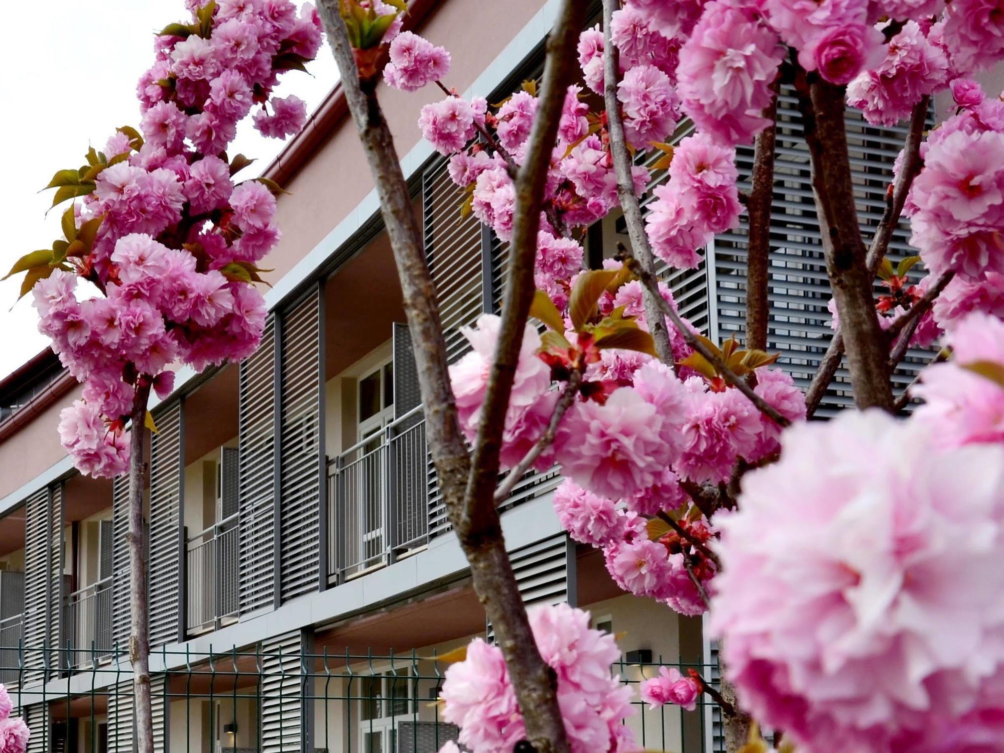พรีวิเลจ อพาร์ตเมนต์ Aparthotel วิแมร์คาเต ภายนอก รูปภาพ
